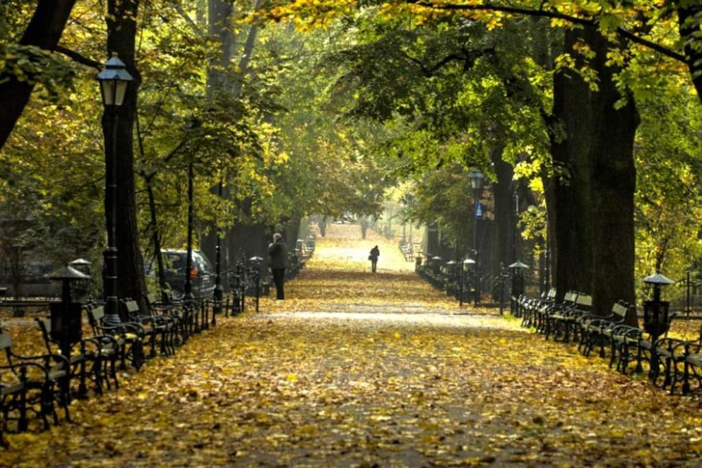 Appartamento Romantic Free Parking *